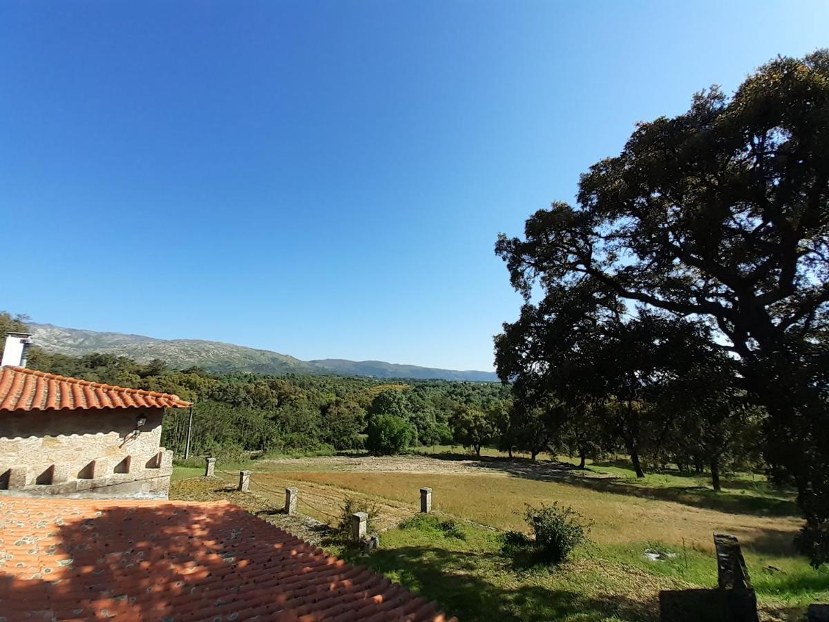 Вилла Casa Da Vinha Castelo Novo Экстерьер фото