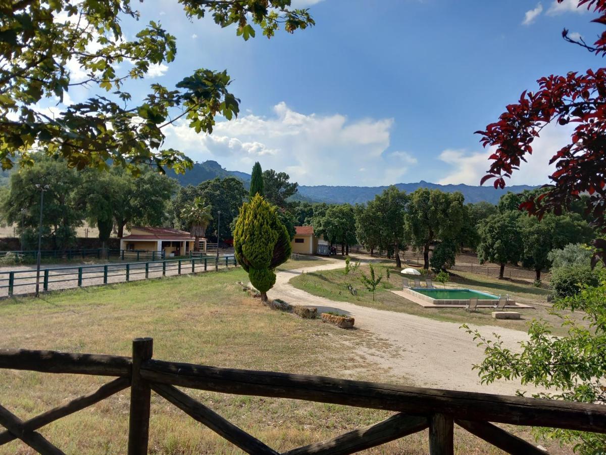 Вилла Casa Da Vinha Castelo Novo Экстерьер фото