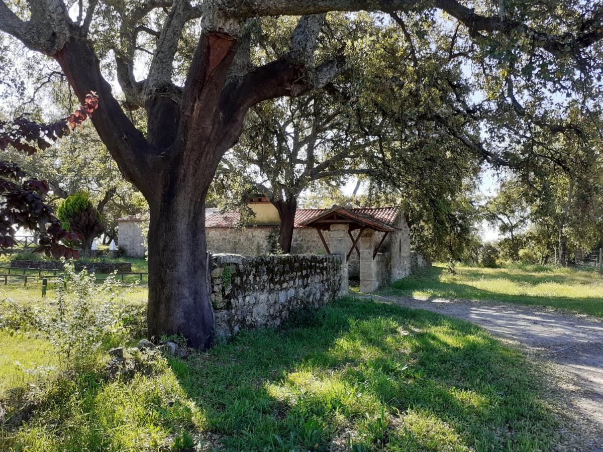 Вилла Casa Da Vinha Castelo Novo Экстерьер фото