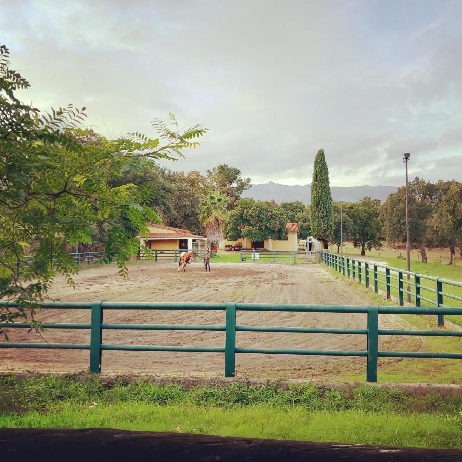 Вилла Casa Da Vinha Castelo Novo Экстерьер фото
